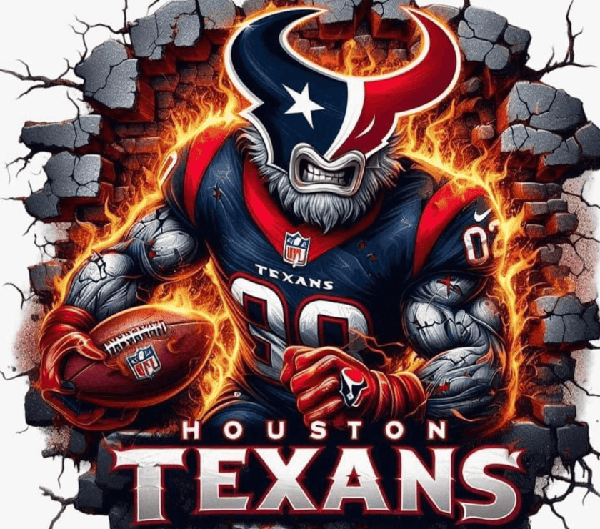 Houston Texans Football Fan Gear 20oz Tumbler - My Store