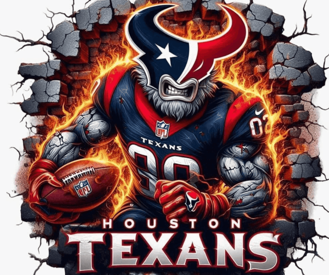 Houston Texans Football Fan Gear 20oz Tumbler - My Store