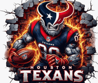 Houston Texans Football Fan Gear 20oz Tumbler - My Store