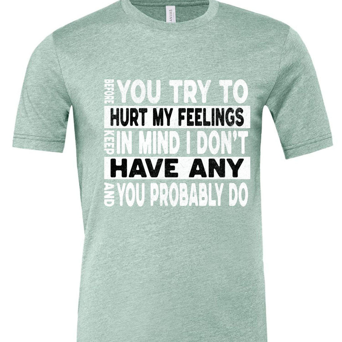 Funny Sarcastic Unisex Shirt - Before You Try to Hurt My Feelings Tee, Humorous Quote Top, Sarcasm Gift for Men & Women