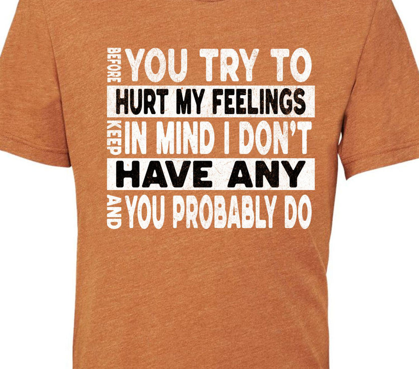 Funny Sarcastic Unisex Shirt - Before You Try to Hurt My Feelings Tee, Humorous Quote Top, Sarcasm Gift for Men & Women