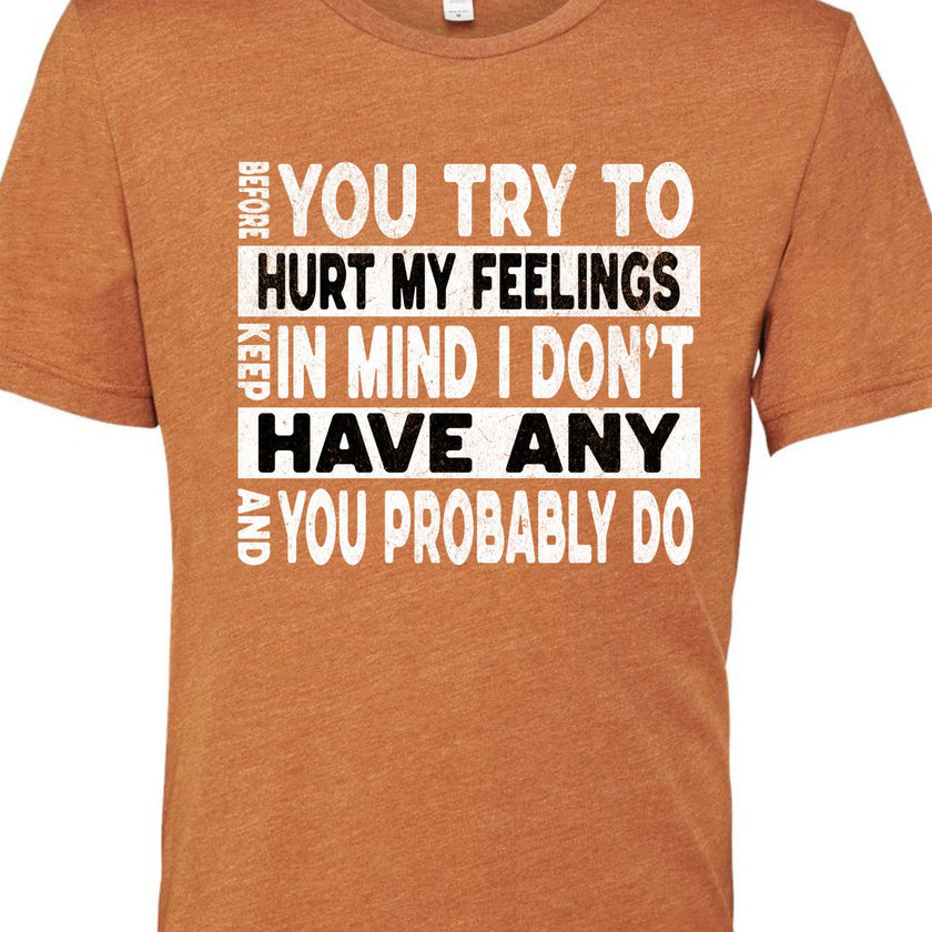 Funny Sarcastic Unisex Shirt - Before You Try to Hurt My Feelings Tee, Humorous Quote Top, Sarcasm Gift for Men & Women