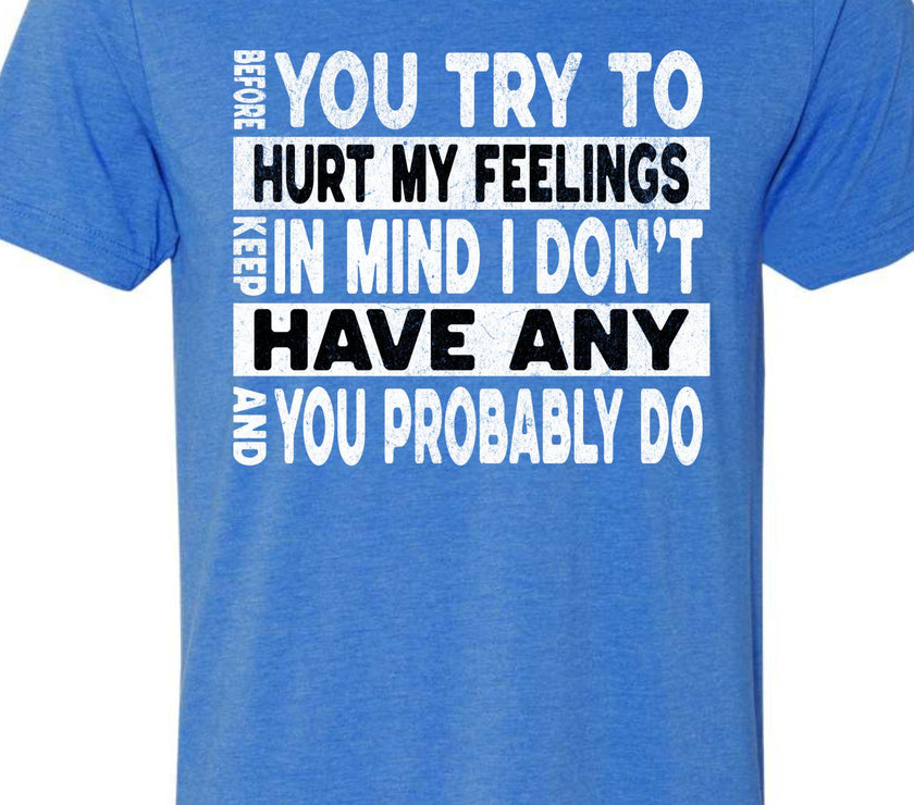 Funny Sarcastic Unisex Shirt - Before You Try to Hurt My Feelings Tee, Humorous Quote Top, Sarcasm Gift for Men & Women