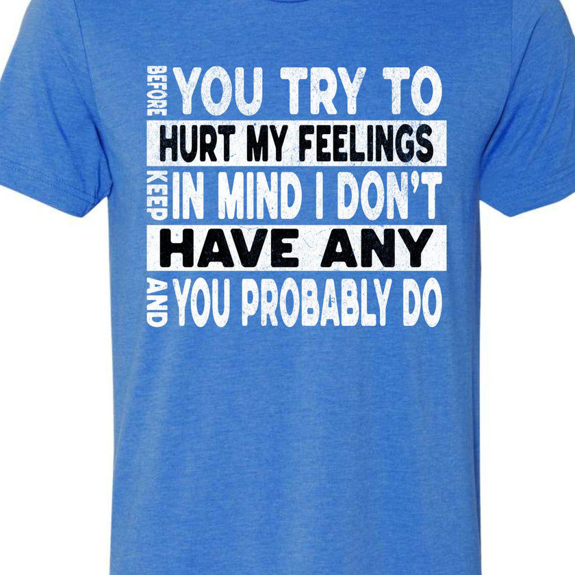 Funny Sarcastic Unisex Shirt - Before You Try to Hurt My Feelings Tee, Humorous Quote Top, Sarcasm Gift for Men & Women