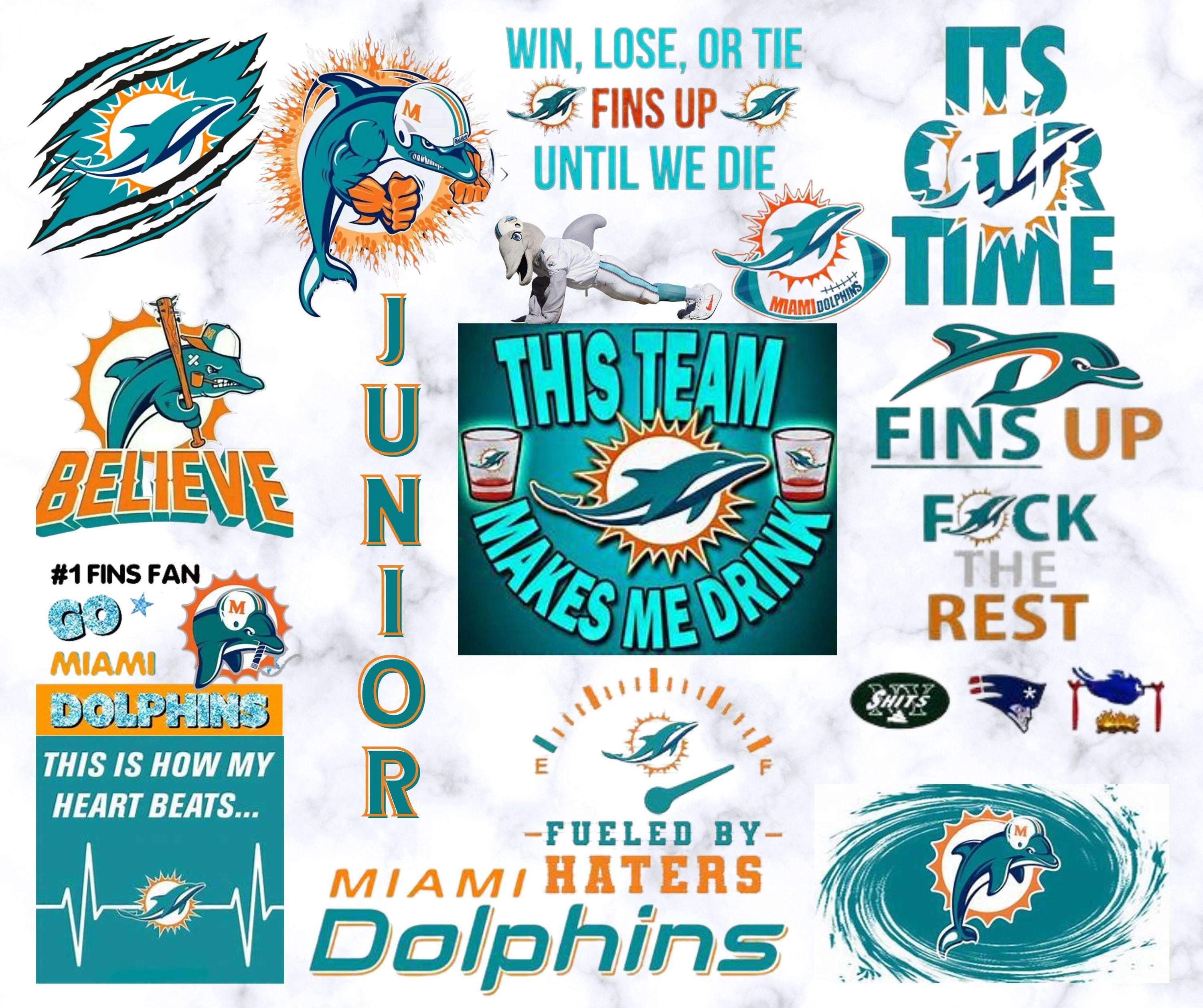 Miami Dolphins True Fan 20oz Tumbler with name image 1