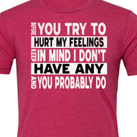 Funny Sarcastic Unisex Shirt - Before You Try to Hurt My Feelings Tee, Humorous Quote Top, Sarcasm Gift for Men & Women