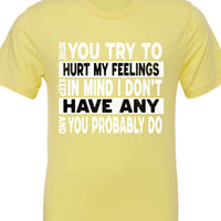 Funny Sarcastic Unisex Shirt - Before You Try to Hurt My Feelings Tee, Humorous Quote Top, Sarcasm Gift for Men & Women