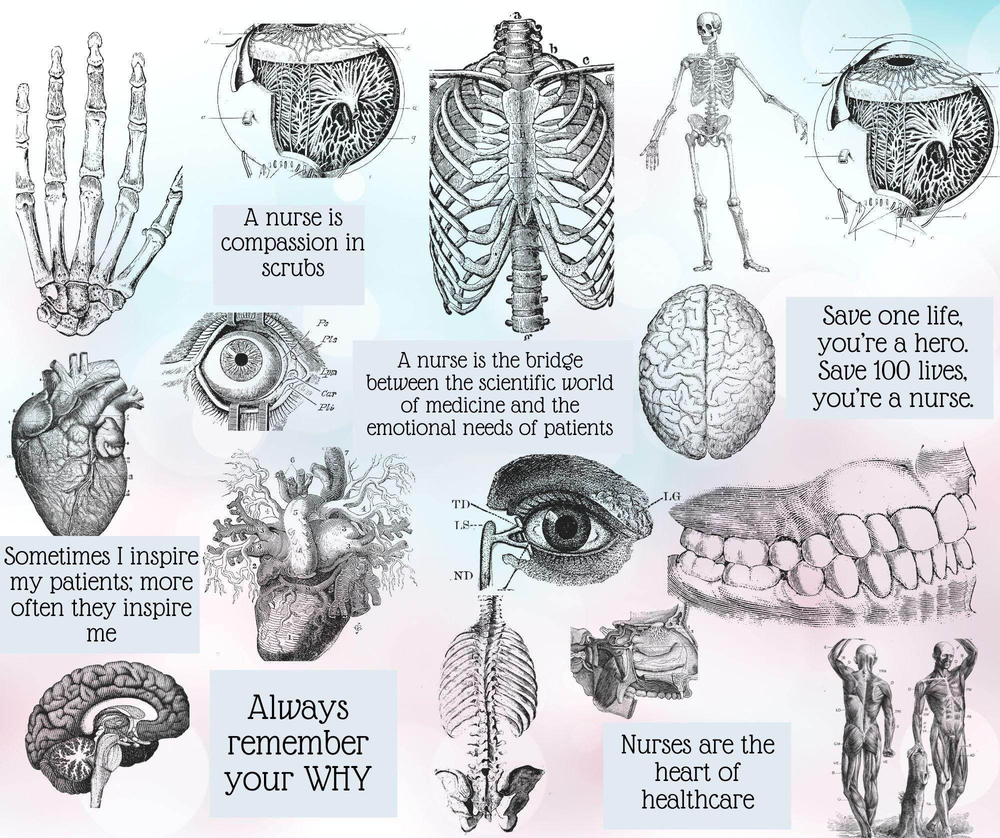 Inspirational Nurse Tumbler 20oz - Durable Stainless Steel Insulated Cup for Nurses Gift & Everyday Use - My Store