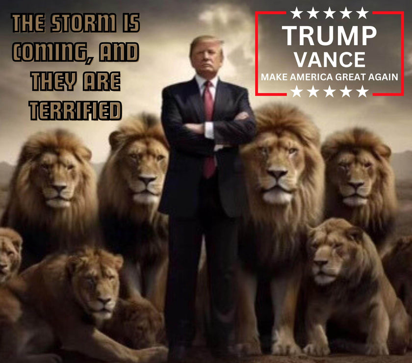 Trump Vance 2024 A Storm Is Coming 20oz Tumbler - My Store