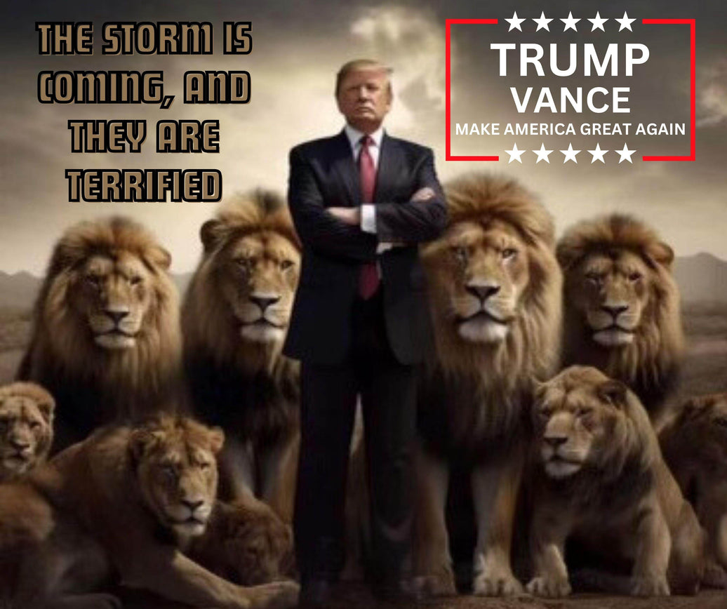 Trump Vance 2024 A Storm Is Coming 20oz Tumbler - My Store