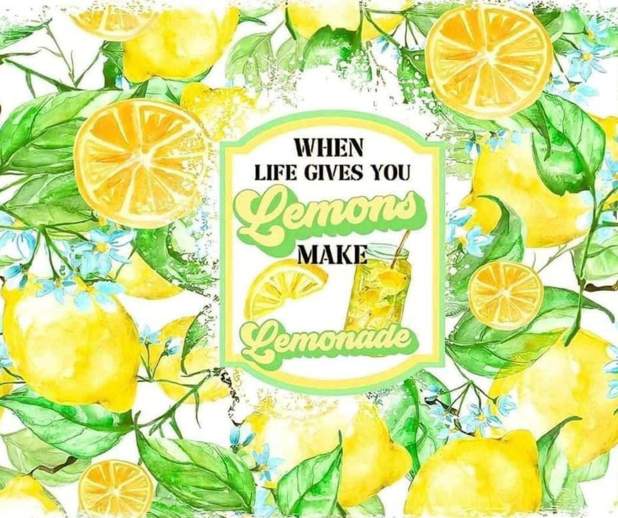 When Life Gives You Lemons, Make Lemonade 20oz Tumbler - My Store