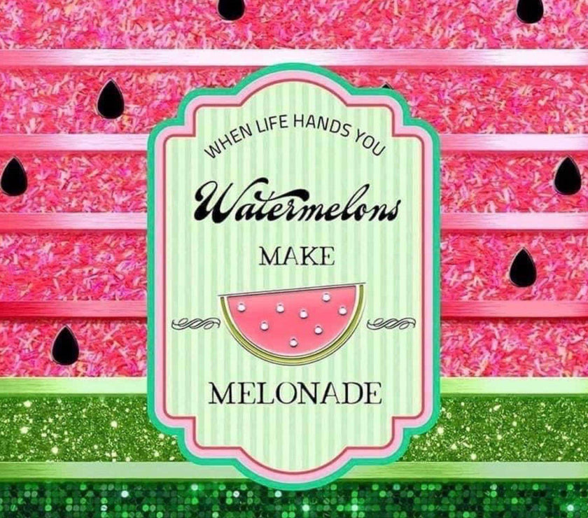 When Life Hands You Watermelons 20oz Tumbler - My Store
