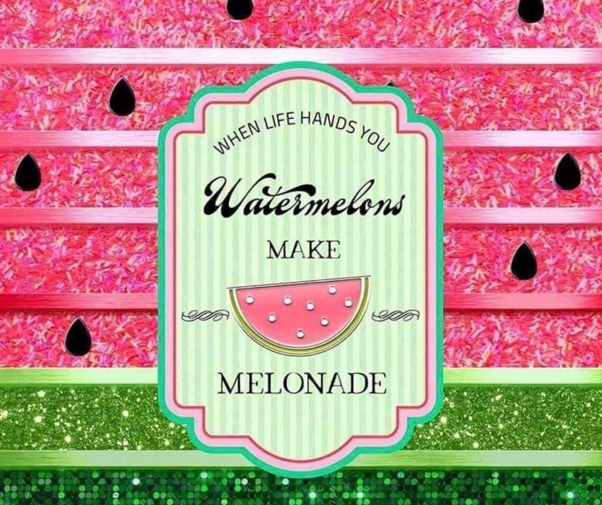 When Life Hands You Watermelons 20oz Tumbler - My Store